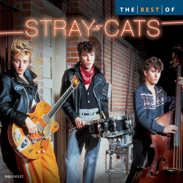 Best Of The Stray Cats